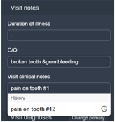 A screenshot of visit notes in Balsam Medico